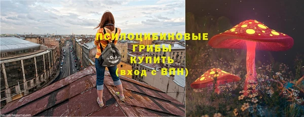 a pvp Арсеньев