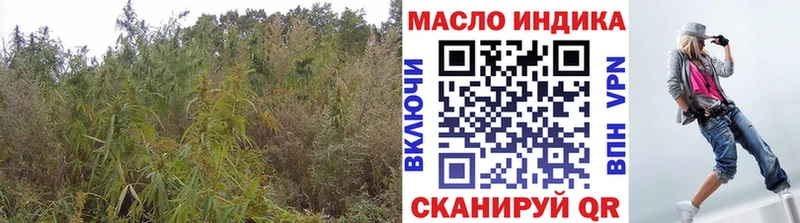 магазин продажи   Сенгилей  blacksprut ссылки  ТГК концентрат 